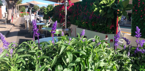 Chinois restaurant's outdoor dining. Diners on Main Street, Santa Monica again enjoy Asian Fusion fine dining, now outdoors for dining with Covid precautions.